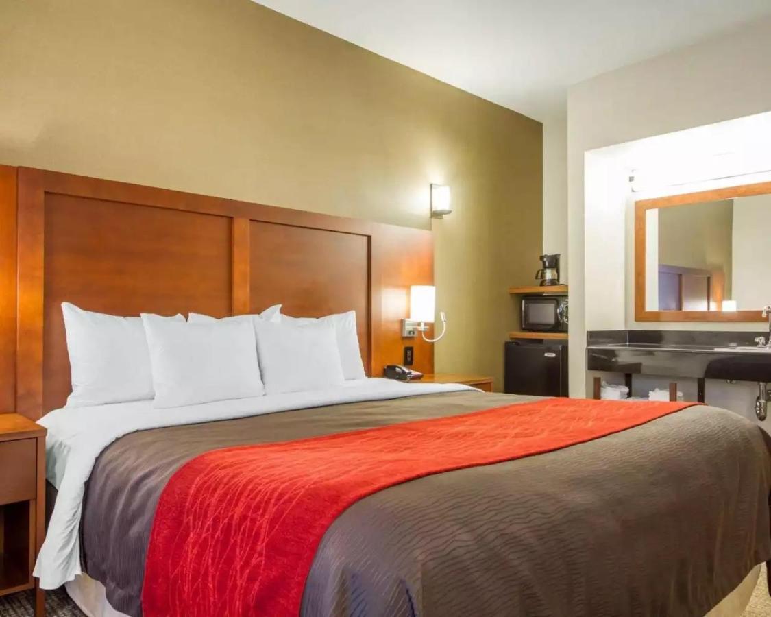 The Atrium Hotel - Sfo Airport Free! - Shuttle Bus - Parking - Wifi سان برونو، سان ماتيو، كاليفورنيا المظهر الخارجي الصورة